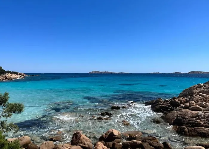 In Olbia For 4 Guests Apartment