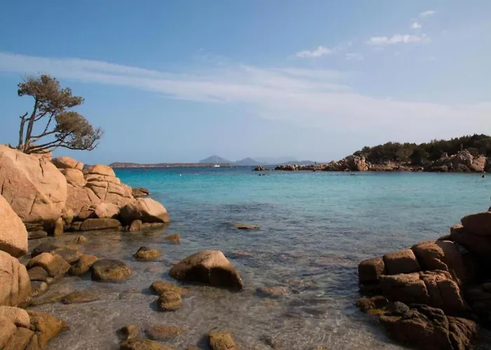 In Olbia For 4 Guests Apartment